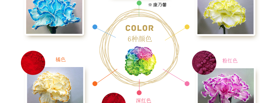 颜色种类